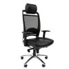 Chairman Ergo 281 ���� ������ ������������, ����/�����, ���� ������