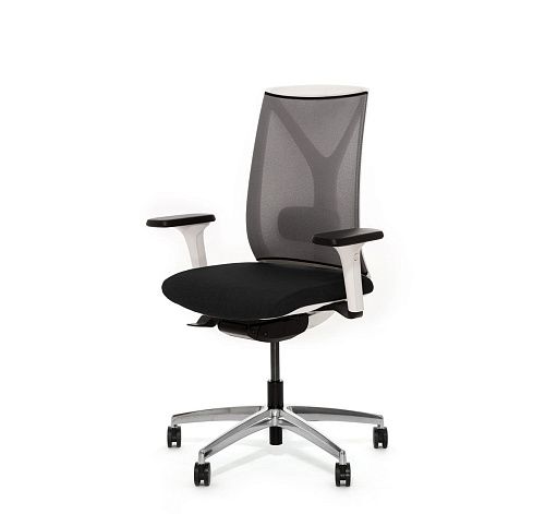DION M WG ������,����, 1D, �� ����/���/���/����