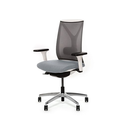 DION M WG ������,����, 1D, �� �����/�����/����