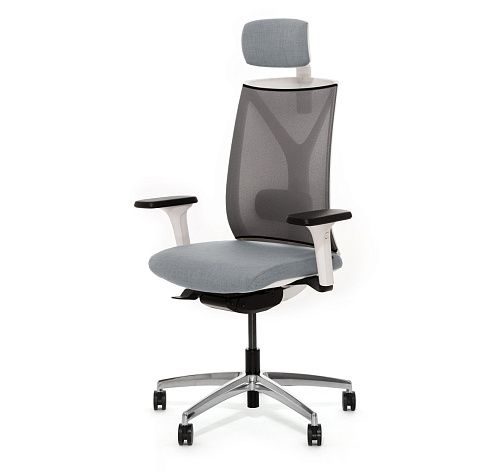 DION M WG ������,���,1D,����,� �����/�����/����