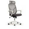 ������ � ������������� Riva Chair Oliver RCH W-203AC ����� �������/ �����-����� �����