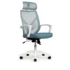 ������ � ������������� Riva Chair Oliver RCH W-203AC ����� �������/ �����-����� �����