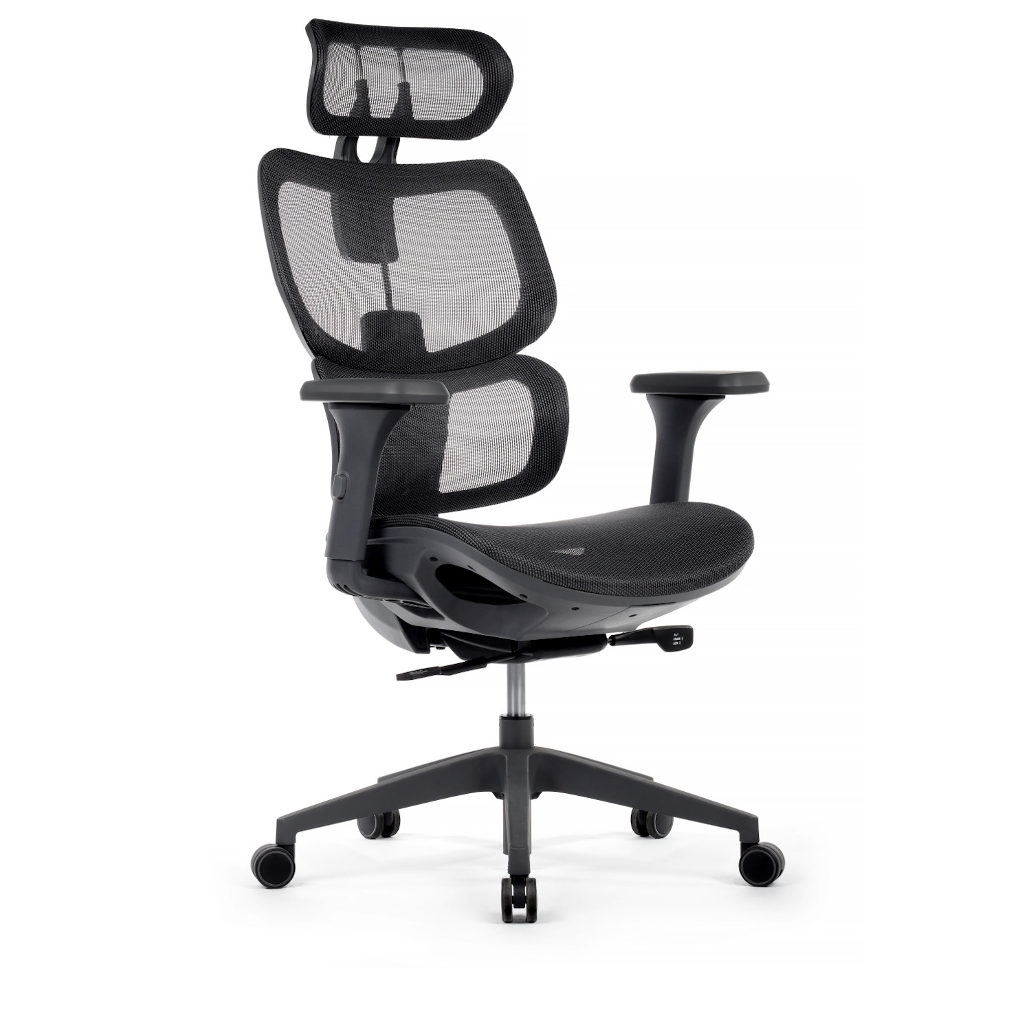 RV Design Argo (W-228) ������ � �������������, ����� ������, ������� ������