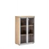 LAVA/TERRA ���� H.121 �����.�� ������