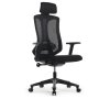 ������ Riva Chair A2101, �����/�����, ���� ������