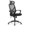 ������ � ������������� Riva Chair Oliver RCH W-203AC ������ �������/ ����� ������/ ����� ������