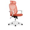 ������ � ������������� Riva Chair Oliver RCH W-203AC ����� �������/ �����-����� ���������