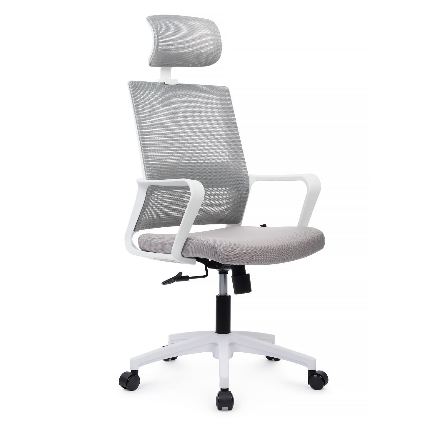 ������ Mint RCH P1029HGE ����� �������/����� �����, ���������� ����� �������