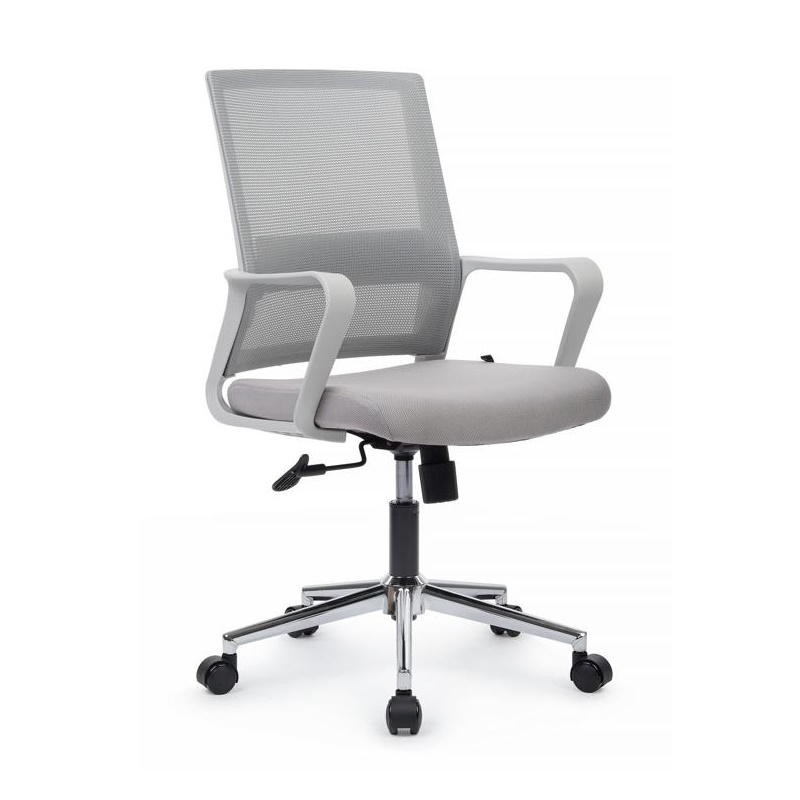 ������ Mint RCH M1029MWE ����� �������/����� �����, ���������� ����