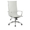 Riva Chair Hugo RCH 6001-1SE ������ ��� ������������, ������������� ������, ����� �����