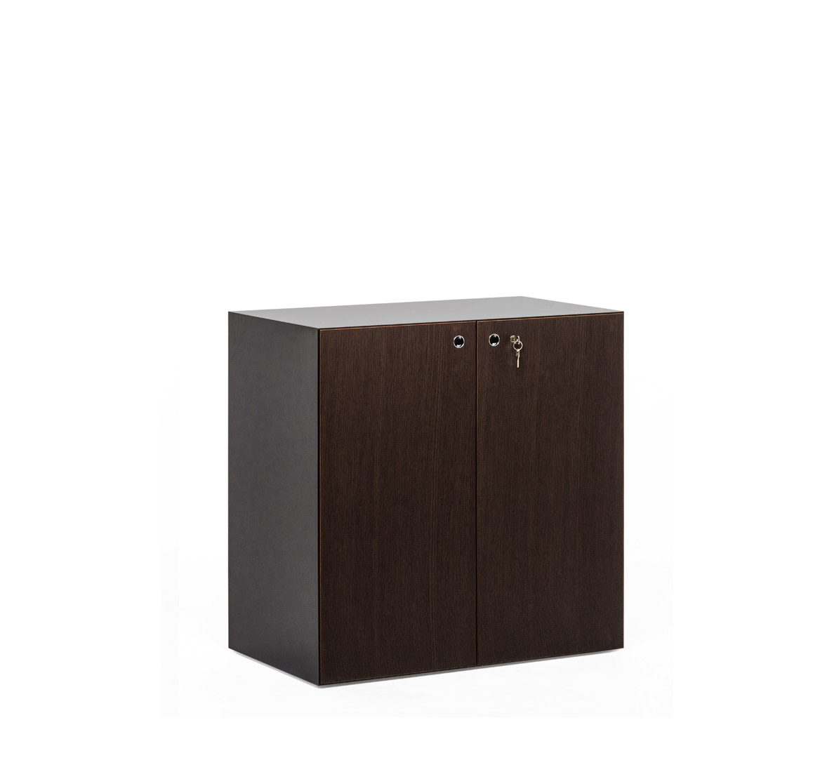 MultipliCEO_S ���� H.80 �/���� ��� ������