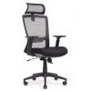������ ��������� � ������������� Riva Chair Line RCH W-202AC �����/����� ������