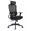  Riva Chair Skill RCH 6245AX ������ � �������������, �����/����� ������
