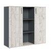 ���� ������� � ���������� �������